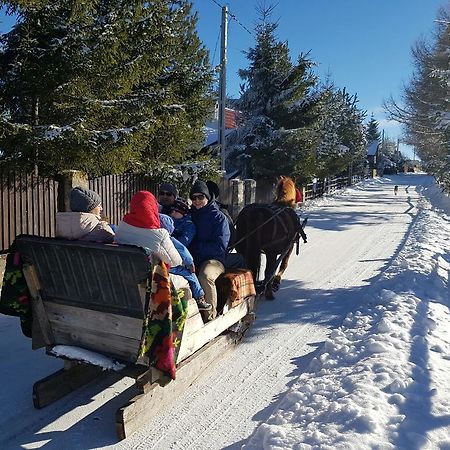 Pension Doru Belis Bagian luar foto