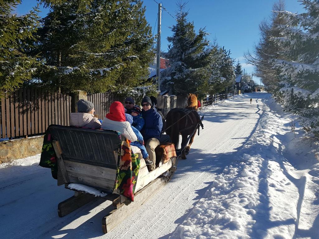 Pension Doru Belis Bagian luar foto
